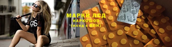 спиды Бердск