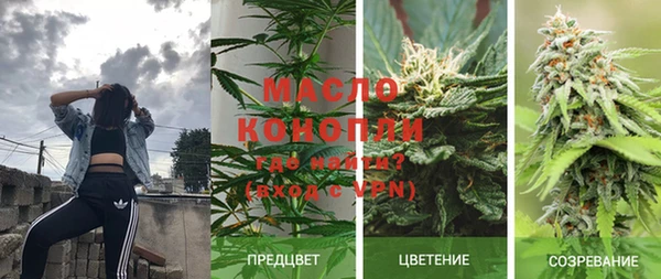 спиды Бердск