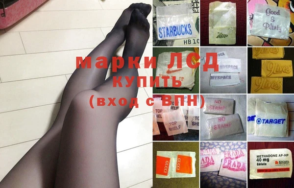 спиды Бердск
