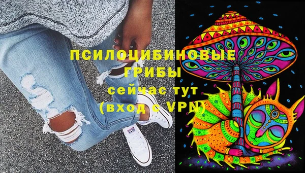 сатива Аксай