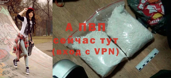 спиды Бердск
