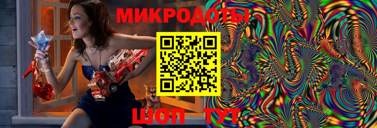 Галлюциногенные грибы Psilocybe Ипатово