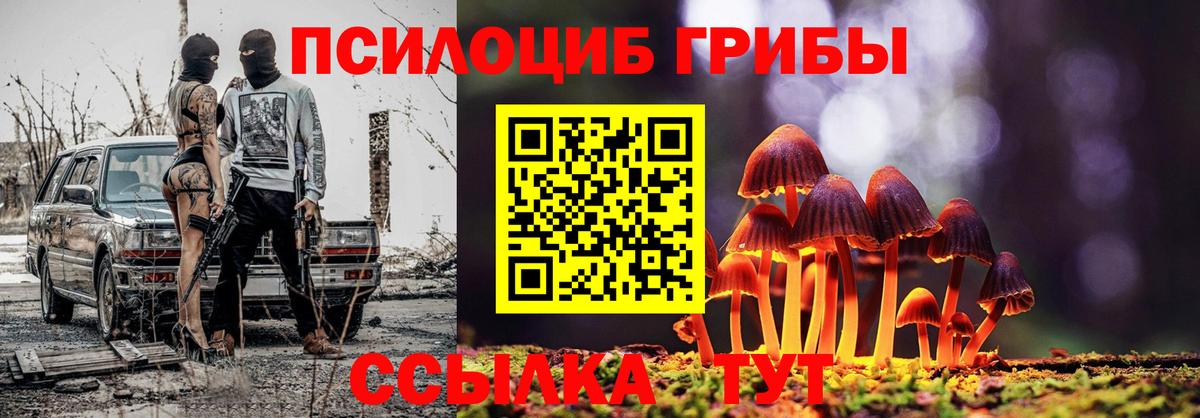 Галлюциногенные грибы Cubensis  Галлюциногенные грибы GOLDEN TEACHER  Вход с VPN  Ипатово 
